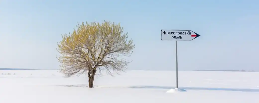 Победа над демографическим спадом: Нижегородская область на вершине роста рождаемости