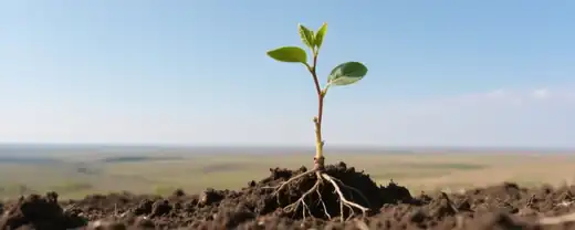 Молодой талант из Манчестера присоединяется к российской национальной команде